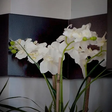 Διαμέρισμα Harbor *